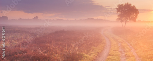 Path through foggy moorland in The Netherlands at sunrise