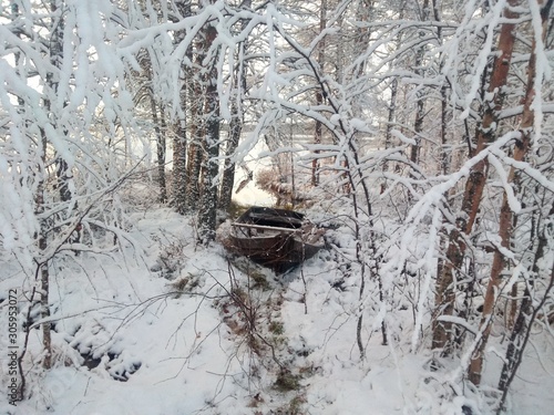 car in winter forest