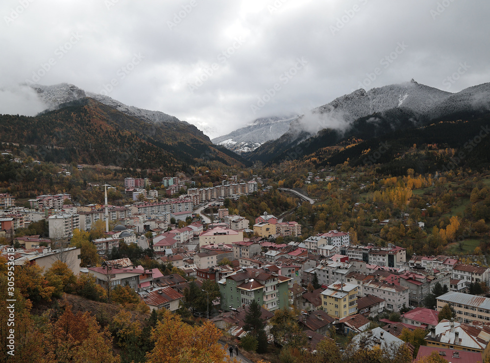 Fototapeta premium Autumn scene in the vilage.Savsat/Artvin/Turkey