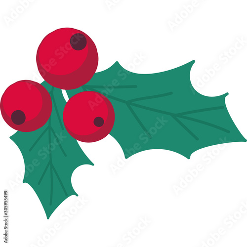 Christmas ilex with green leaves flat vector illustration