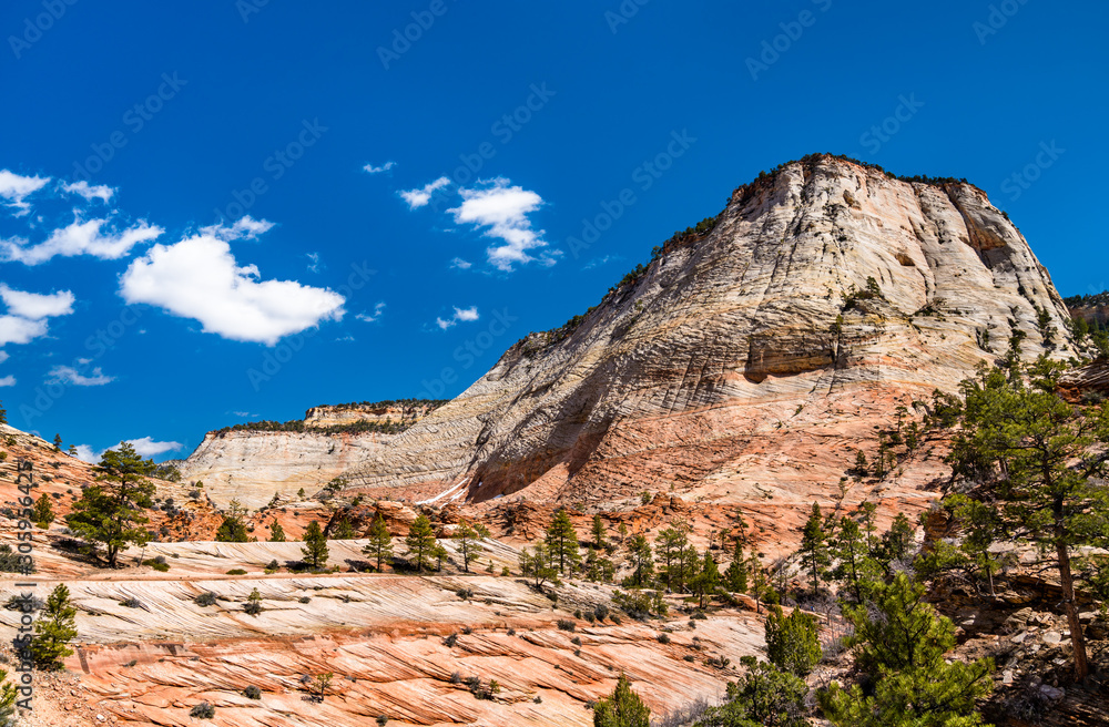 Landscape of Zion National Park along Pine Creek Landscape of Zion National Park along Pine Creek