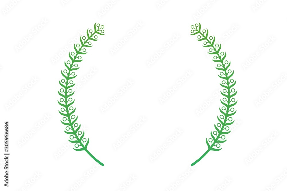 green  laurel wreath isolated on white 