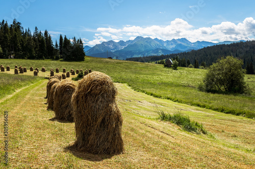 Fototapeta Naklejka Na Ścianę i Meble -  tatry pola słoma widoki niebo chmury polska