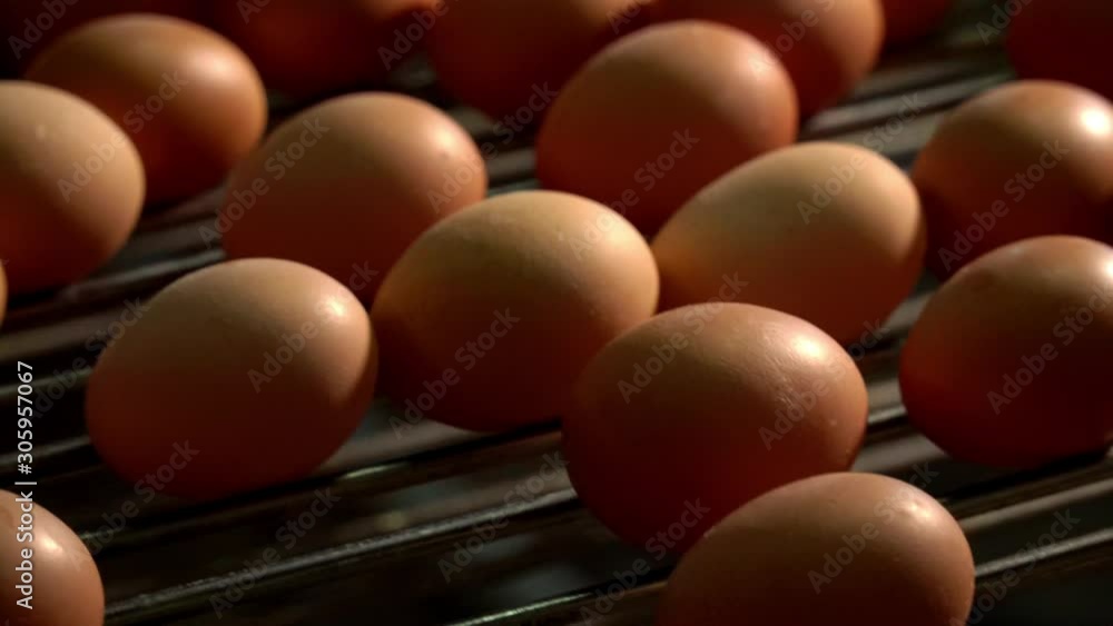 Egg production line in action on the chicken farm. eggs sorting in the factory. 4K. Egg production line in action on the chicken farm. eggs sorting in the factory. 4K.