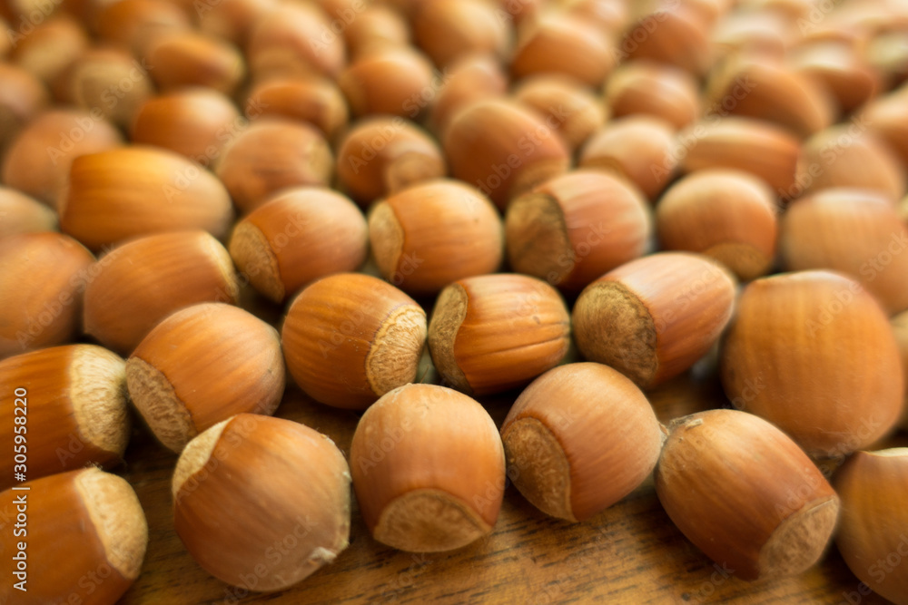 Close view of fully ripe unpeeled hazelnuts Close view of fully ripe unpeeled hazelnuts