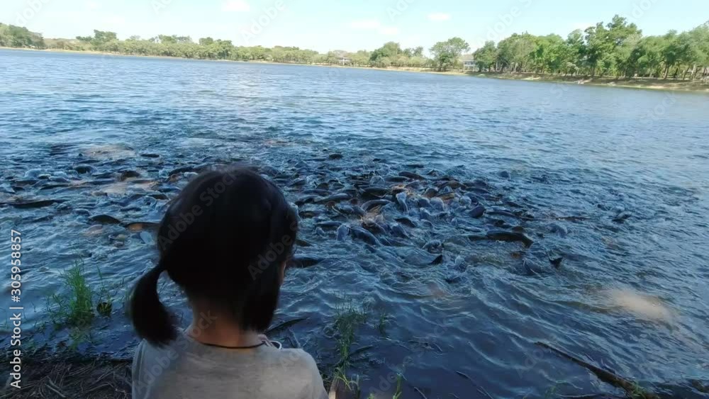 Children are feeding a lot of fish in a large pond. Children are feeding a lot of fish in a large pond.