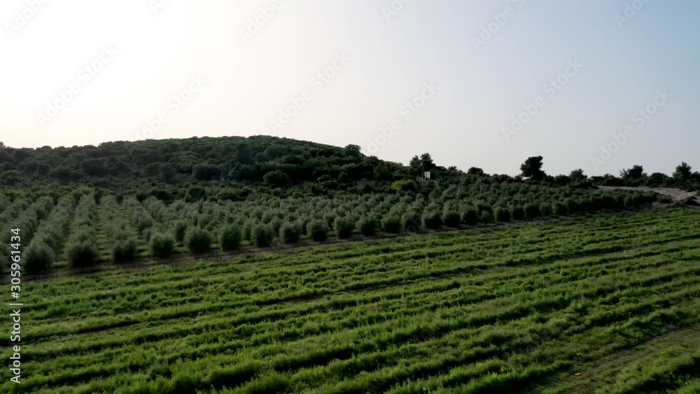 Aerial fly toward a green hill with trees at clear sky day, drone shot Aerial fly toward a green hill with trees at clear sky day, drone shot