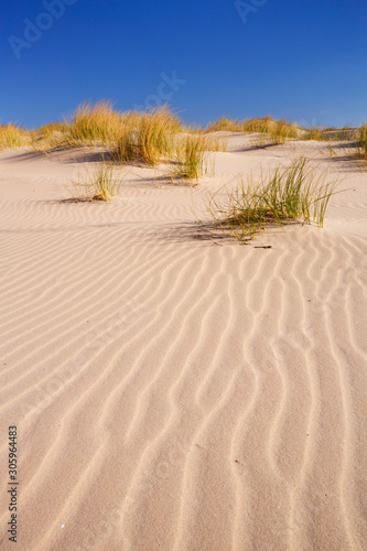 Sand dunes with ripples
