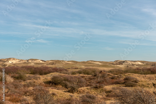 Panoramic view over a dune landscape