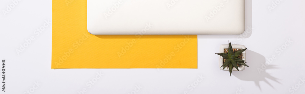 panoramic shot of laptop, green plant and yellow paper panoramic shot of laptop, green plant and yellow paper