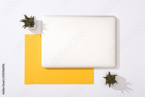 top view of laptop, green plants and yellow paper