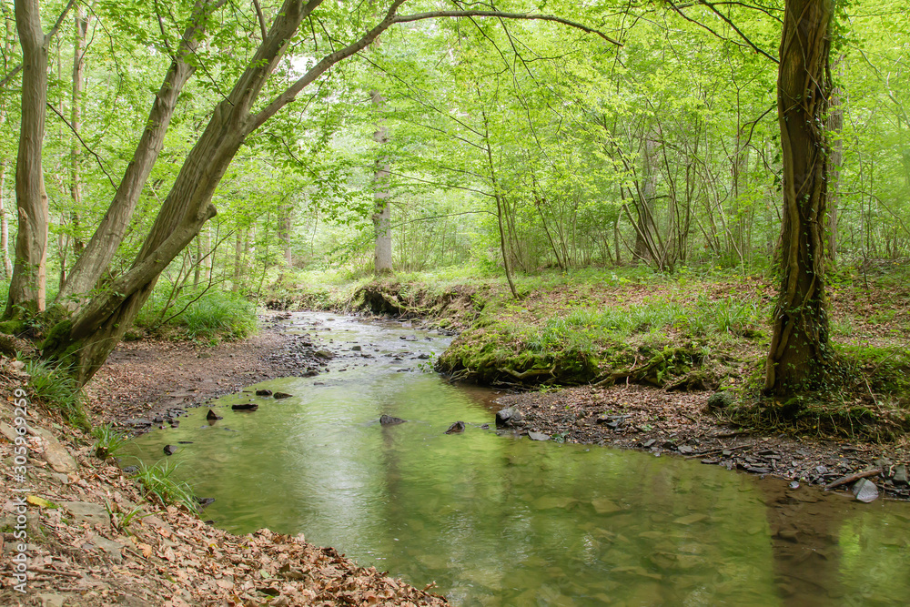 Samson river crossing a forest Samson river crossing a forest