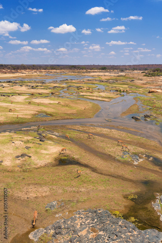 View over the Olifants River in Kruger National Park