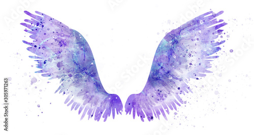 Fotografie, Tablou Pink spreaded magic angel watercolor wings