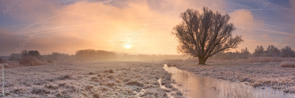 Sunrise over a frozen landscape in The Netherlands - obrazy, fototapety, plakaty 