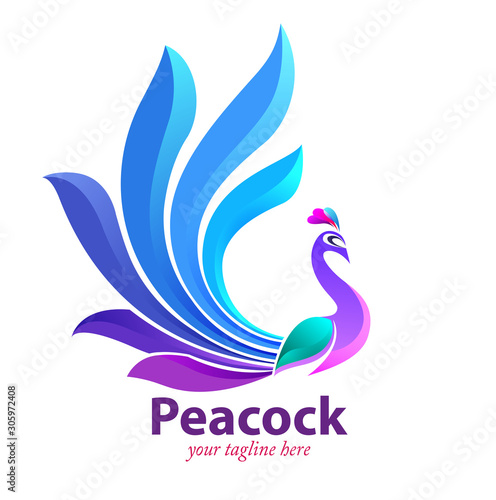 Vector illustration, modification of Peacock as a symbol