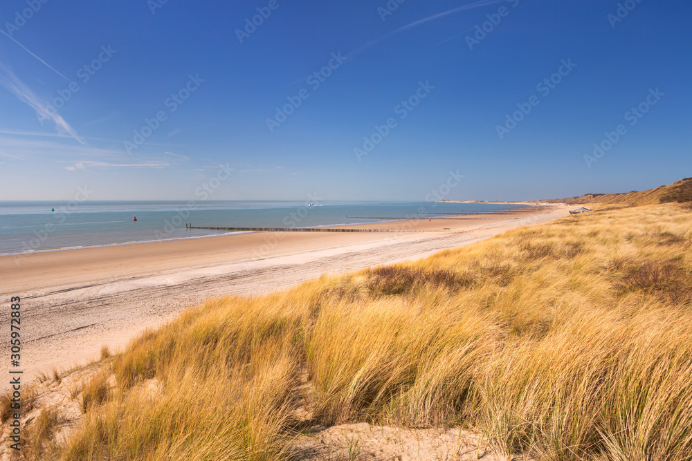 Dunes on the coast of Dishoek in The Netherlands