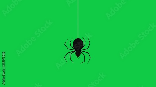 The spider goes down and goes up hanging on its own wire - Crhoma key