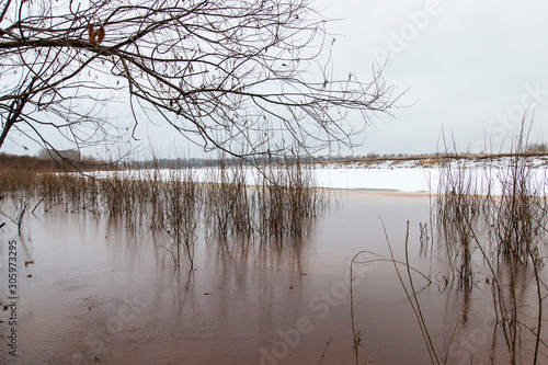 Landscape. Riverbank late autumn  cloudy day. The first ice on brown water. Bushes and trees are reflected. The sky is covered with dense gray clouds.