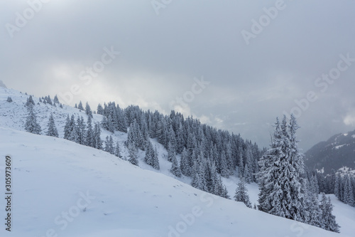 Verschneite Winterlandschaft - Parpaner Rothorn, Graubünden, Schweiz
