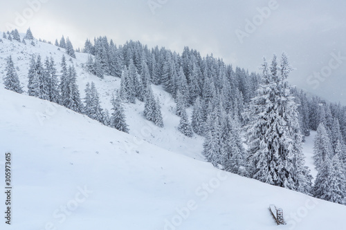 Verschneite Winterlandschaft - Parpaner Rothorn, Graubünden, Schweiz