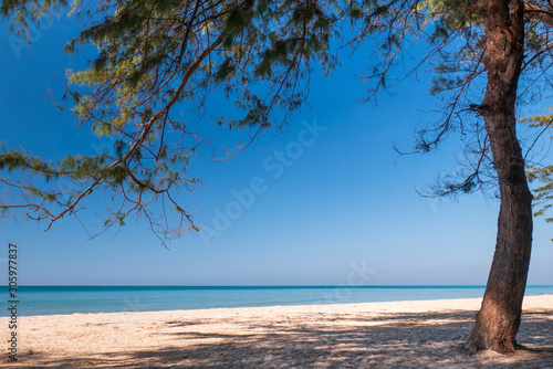 Fototapeta Naklejka Na Ścianę i Meble -  Beautiful sea and tree for background tropical sand beach and blue sky in sunny day