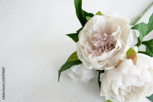 A bouquet of beautiful delicate peonies on a light pastel background  for all women.