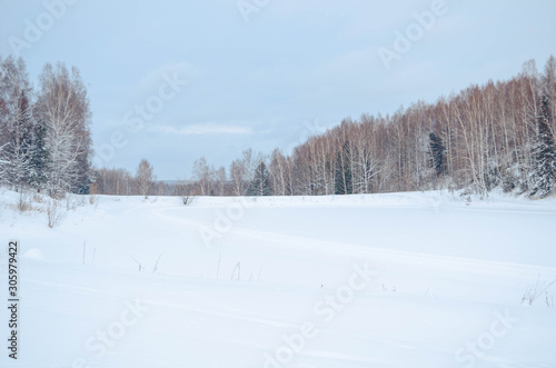 Snowy winter landscape with the forest and the sky, the sun. Winter forest trees in white snow. Frosty sunny day. New year Christmas in Siberia. Walk through the beautiful winter forest.