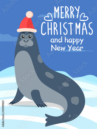 Merry christmas and happy new year, greeting postcard. North sea calf, seal or sea lion lies on iceberg or ground. Beautiful landscape of arctic with wild animal. Vector illustration in flat style