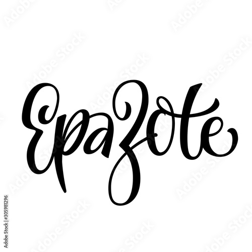 Vector hand drawn calligraphy style lettering word - epazote.