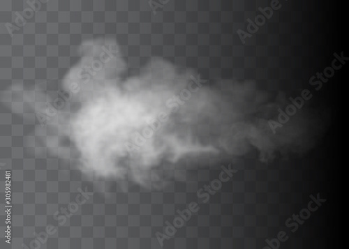 Fog or smoke isolated transparent special effect. White vector cloudiness, mist or smog background. Vector illustration