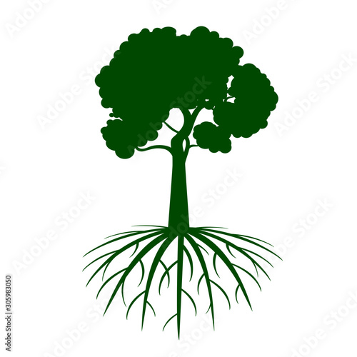Shape of Tree with Roots. Vector Illustration. Plant in garden.