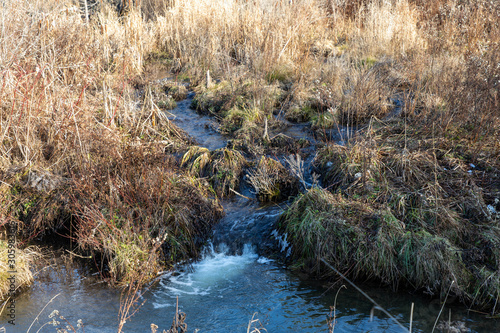 stream in the forest © Mark