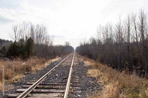 railway in forest