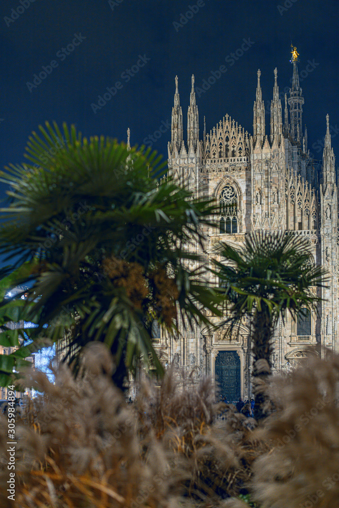 The Duomo of Milan by night behind the palm trees The Duomo of Milan by night behind the palm trees