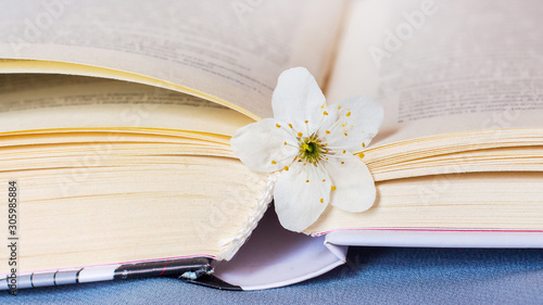 The cherry flower lies on an open book. Reading your favorite books in nature_