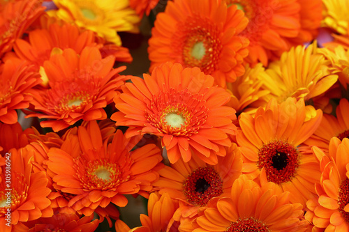 Orange gerber daisy flowers bouquete photo