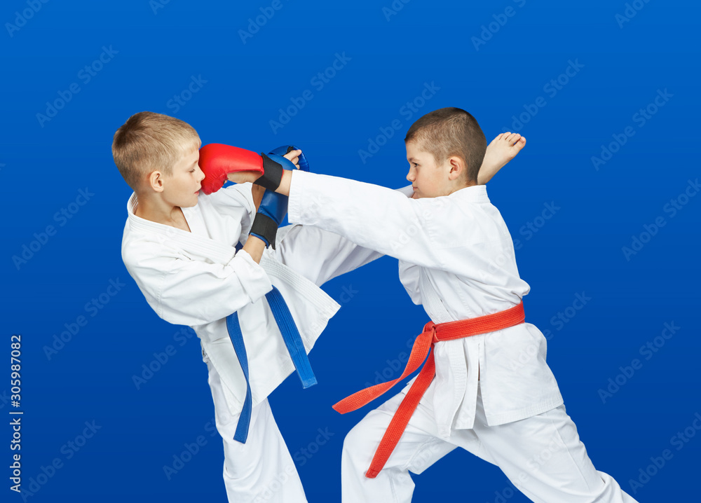 Blows punching and kicking in the performance of athletes in karategi Blows punching and kicking in the performance of athletes in karategi