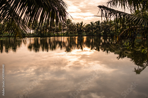 landscape of kerala backwaters marsh at sunset with lake birds and palm trees, a pristine natural environment during monsoon season photo