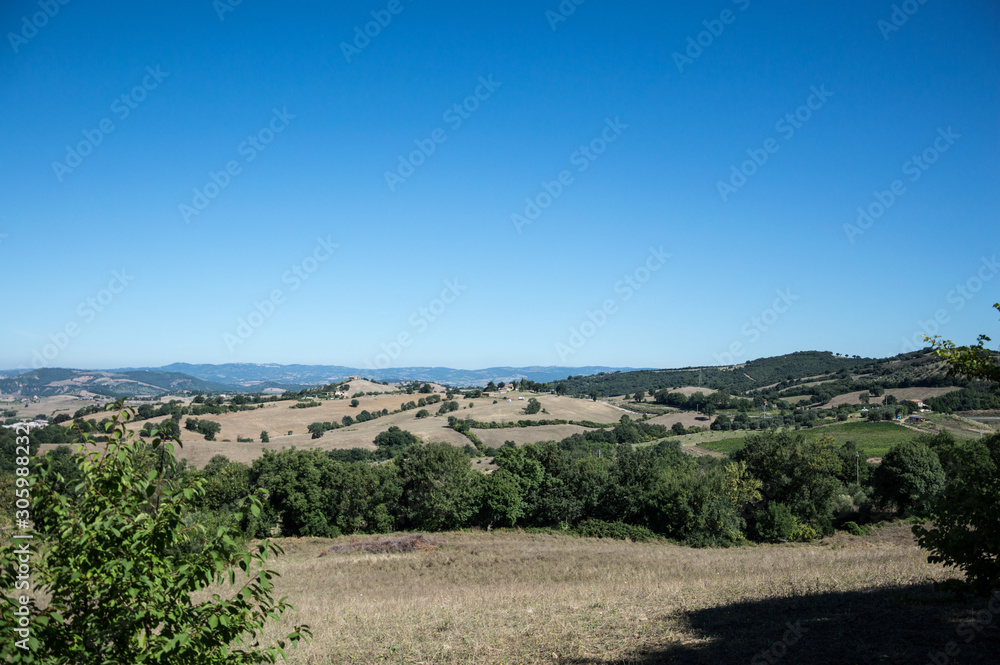 Countryside of Tuscany in summer