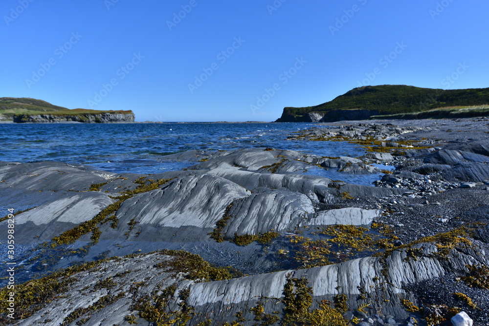Fototapeta premium Rocky Beach with Kelp