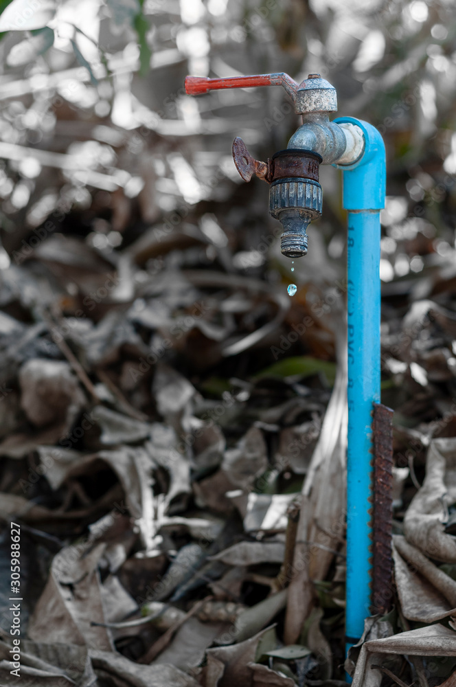 Naklejka premium The last drop.