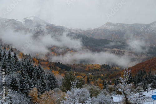 First snow in the forest in the mountains