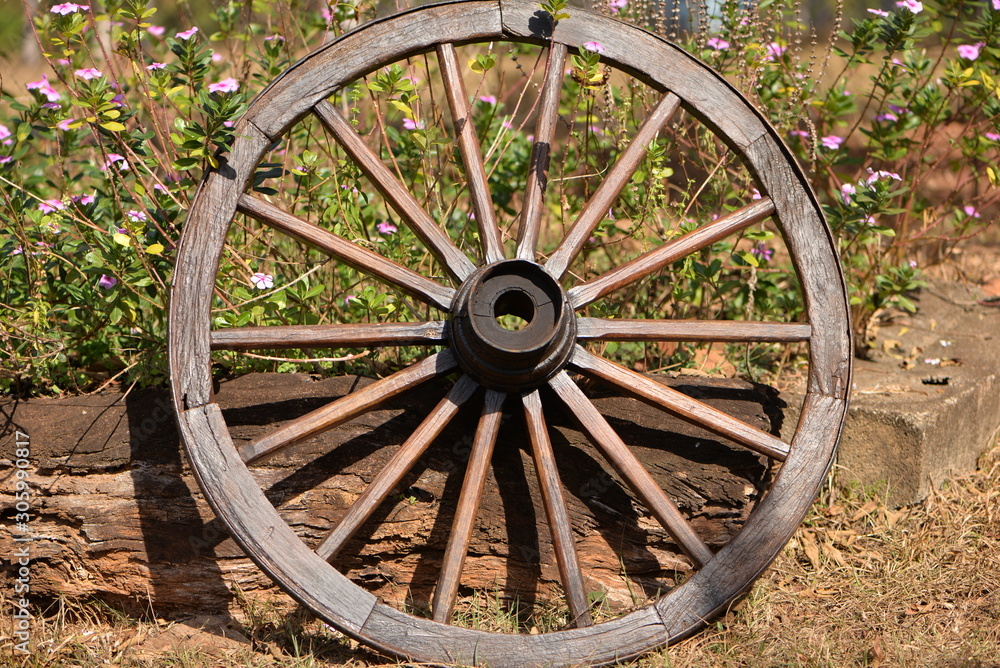 wooden wheel with iron rim and flowers wooden wheel with iron rim and flowers