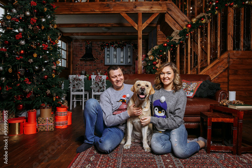 pregnant wife with husband and labrador in a country house. on christmas eve © Andrii
