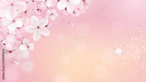 Spring Sakura petals falling down.