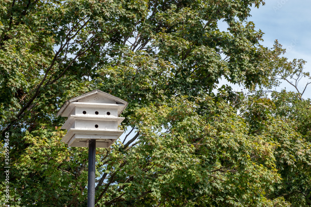 The white bird house looks inviting in front of the green trees and blue sky. Bokeh effect. The white bird house looks inviting in front of the green trees and blue sky. Bokeh effect.