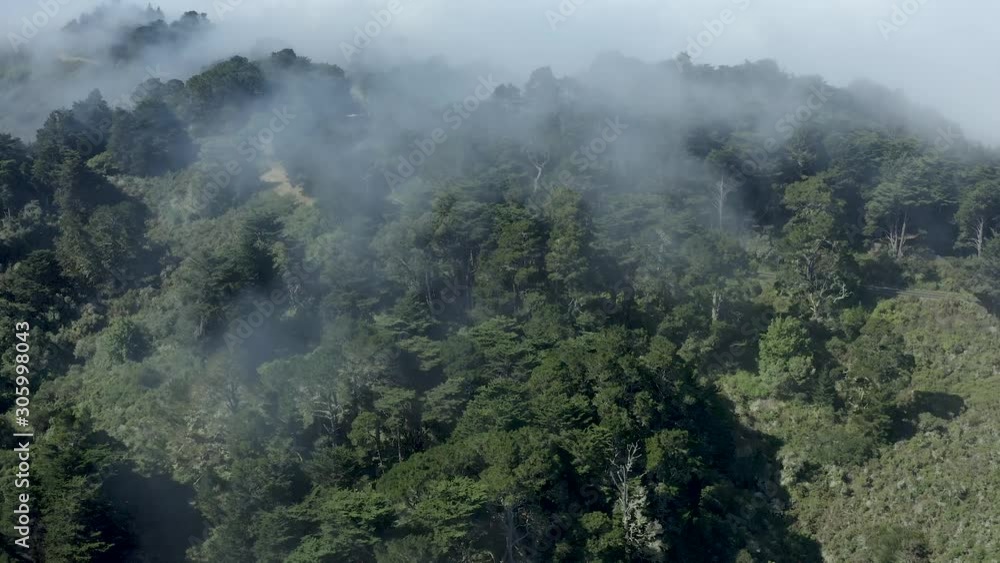 An Aerial Shot Moving Forward Over a Dense Forest as Cars Drive by on a Curved Road and the Mist Passes Through the Trees An Aerial Shot Moving Forward Over a Dense Forest as Cars Drive by on a Curved Road and the Mist Passes Through the Trees