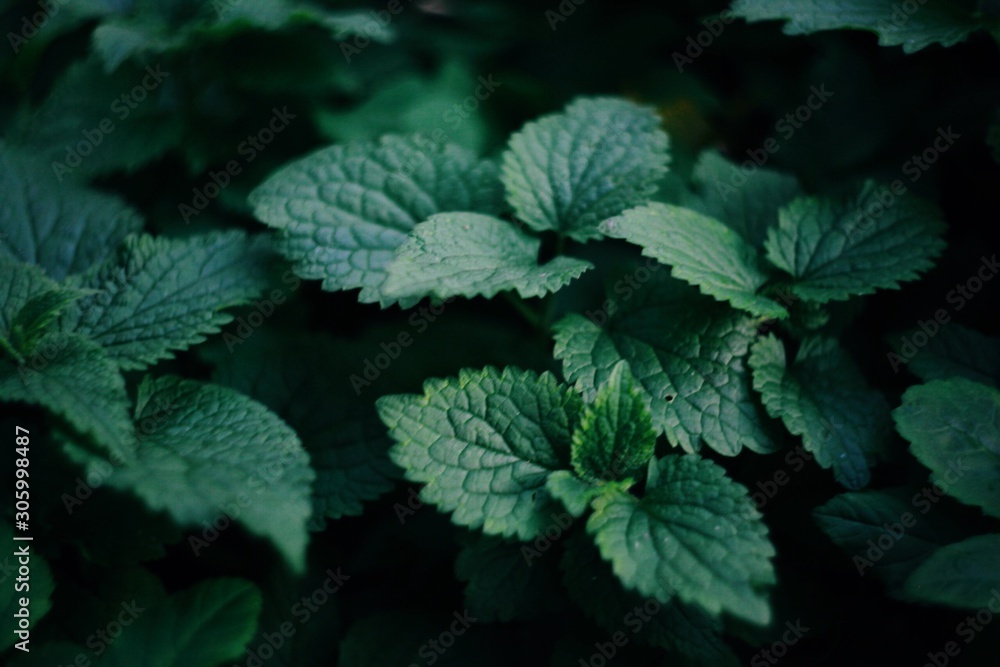 abstract background abstract background