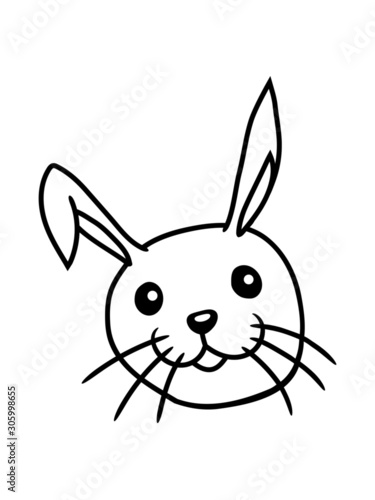 hoppelhase hasen gesicht 